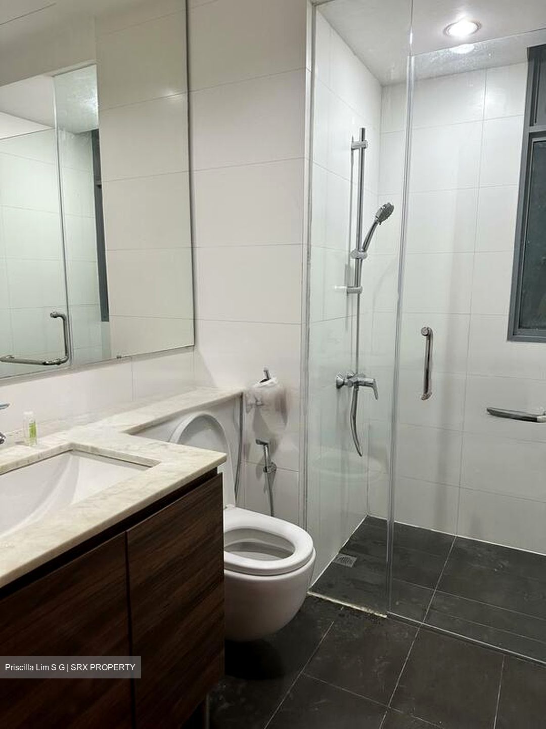Double Bay Residences (D18), Condominium #575740061